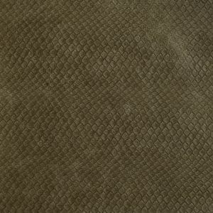 Anaconda Impress Pattern