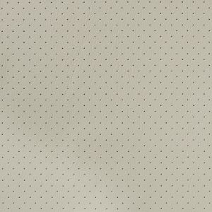 Porsche Perforated Pattern