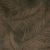Fronds Anthracite