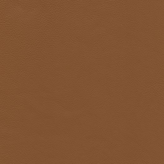C663 Chatham Cappuccino