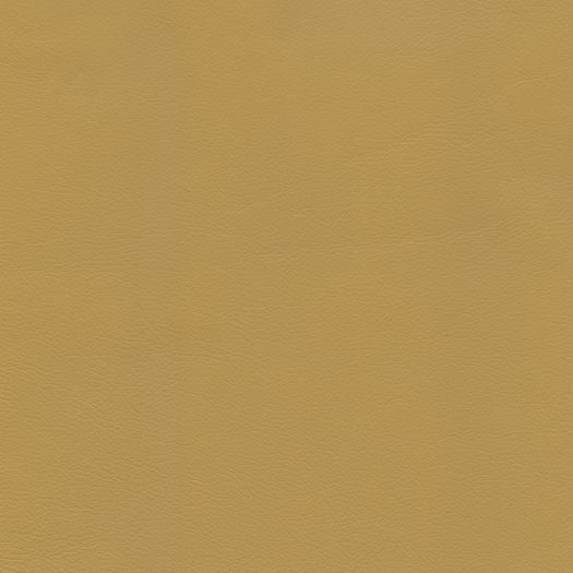 C671 Chatham Cornsilk