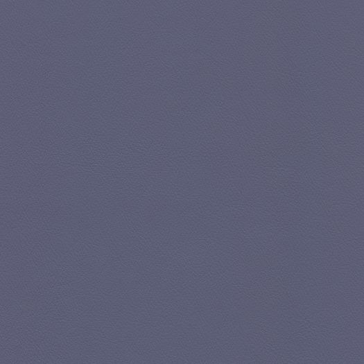 C675 Chatham Periwinkle