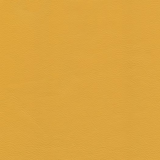 C685 Chatham Marigold