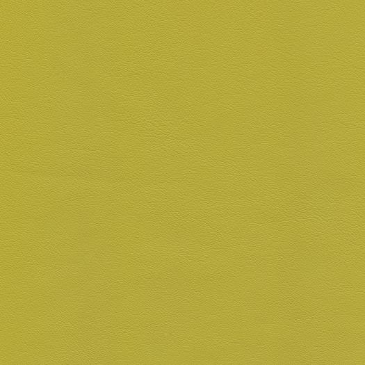 C690 Chatham Chartreuse