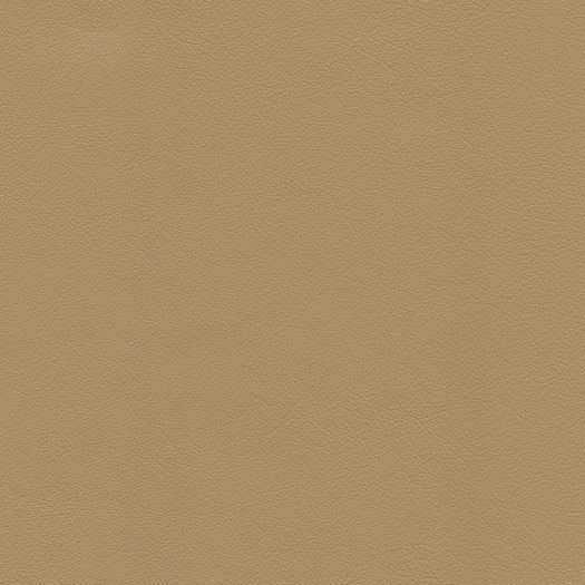 Caressa Parchment | Skived to 0.8mm