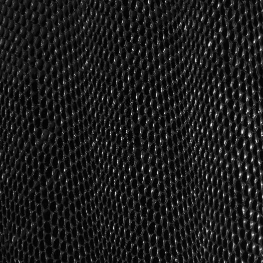 DiModa Cobra Nero**