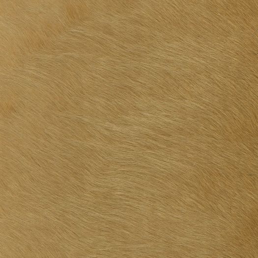 HH3028 Capelli Specialty Spiga