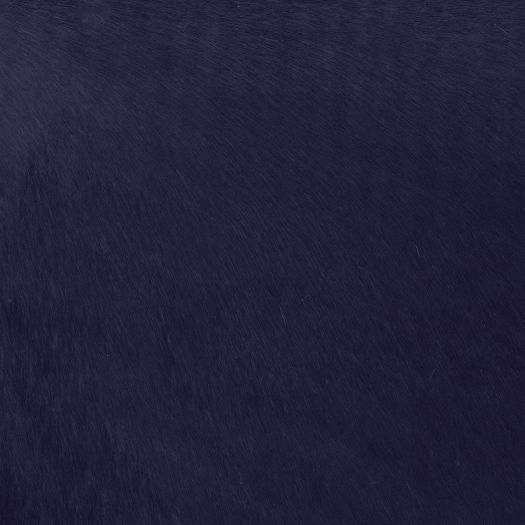Capelli Specialty Navy