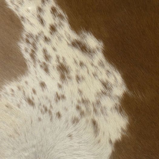 HH305 Capelli Natural Dk Brown White