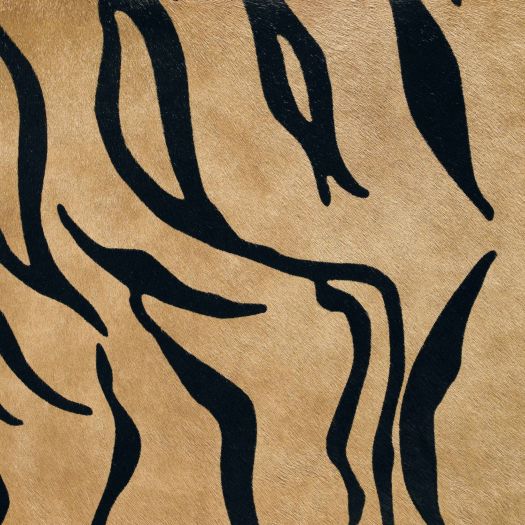 HH308 Capelli Stenciled Tiger