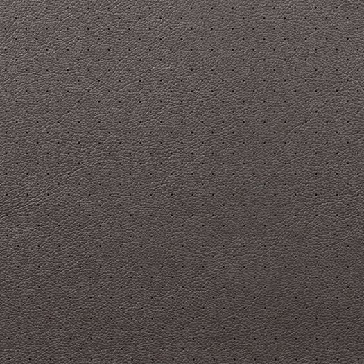 Highland Perforated Pattern