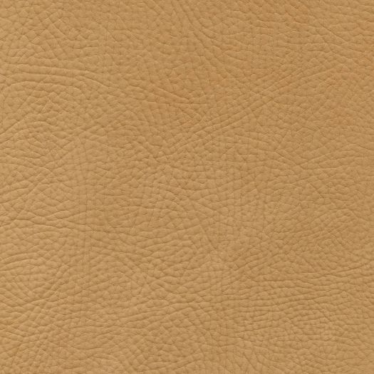 K401 Kenya Nougat
