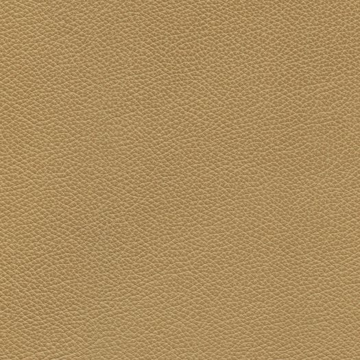 M8020 Mystique Safari