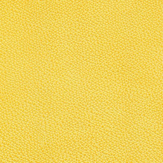 M8071 Mystique Lemonade