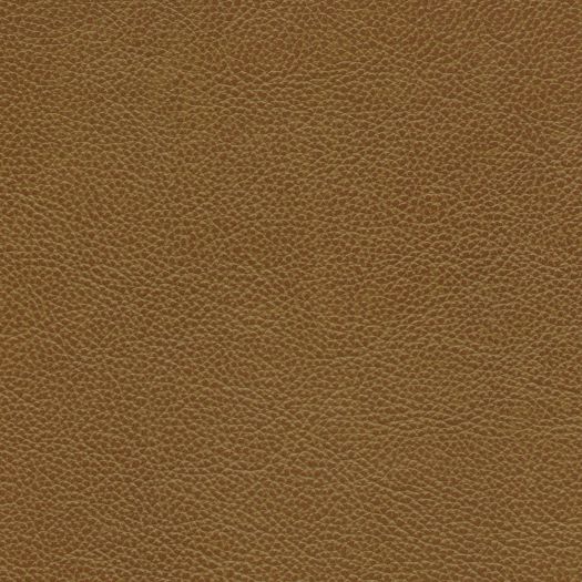 M8082 Mystique Toasted Almond