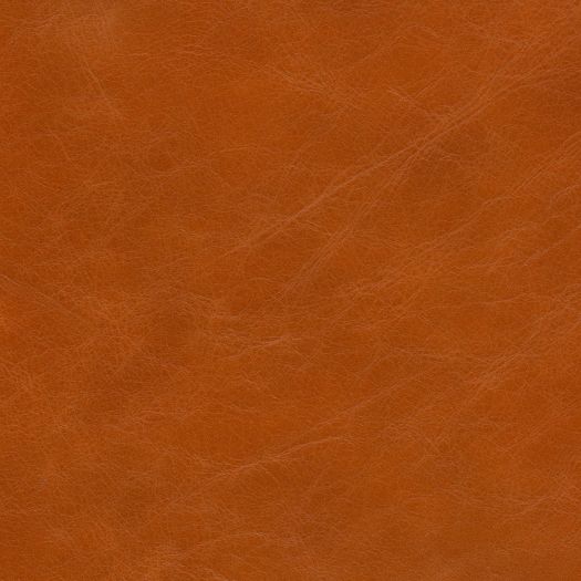 R9530 Resilience Carnelian