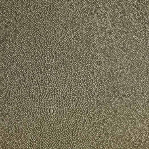 Shagarrett Seagrass **