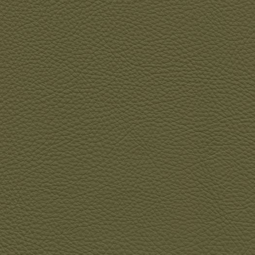 TO1437 Torino Tarragon